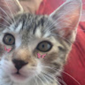 Meet your Posher, Mary jane